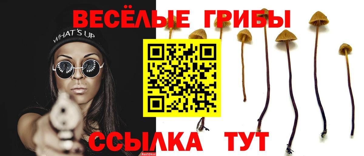 Нягань  Псилоцибиновые грибы GOLDEN TEACHER  наркошоп  Вход с VPN 